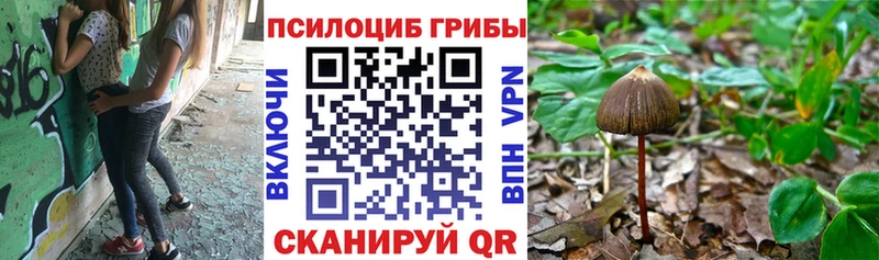 где купить наркоту Добрянка гидра ССЫЛКА Галлюциногенные грибы мухоморы